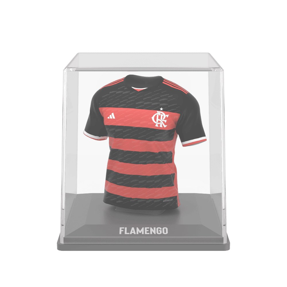 
                  
                    CR Flamengo 2024 - Splink
                  
                