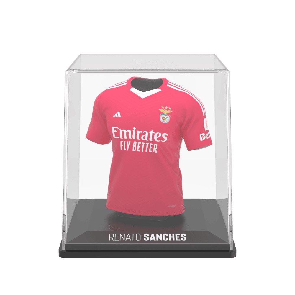 
                  
                    Renato Sanches - Splink
                  
                