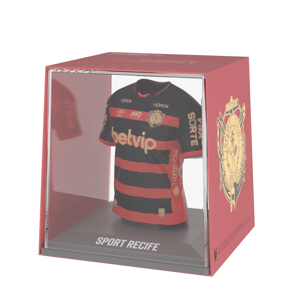 SC Recife 2024 - Splink